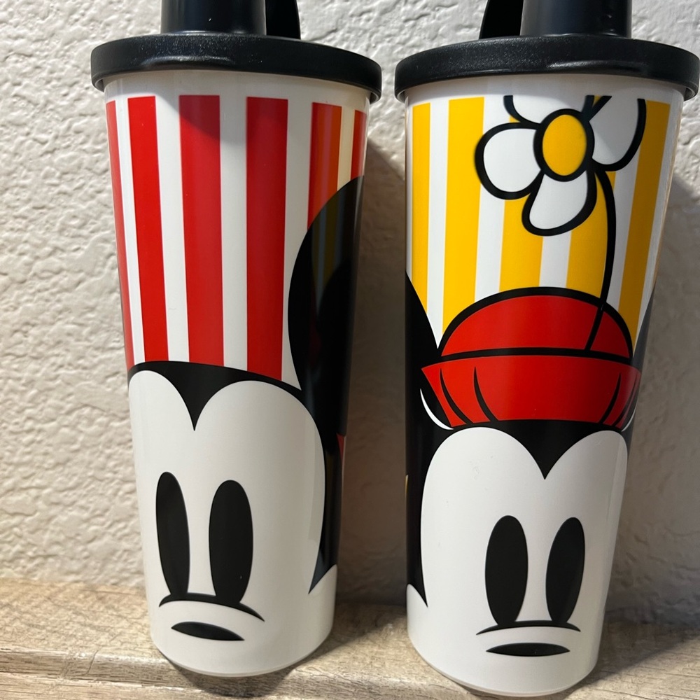Tupperware Mickey and Minnie Striped Tumbler